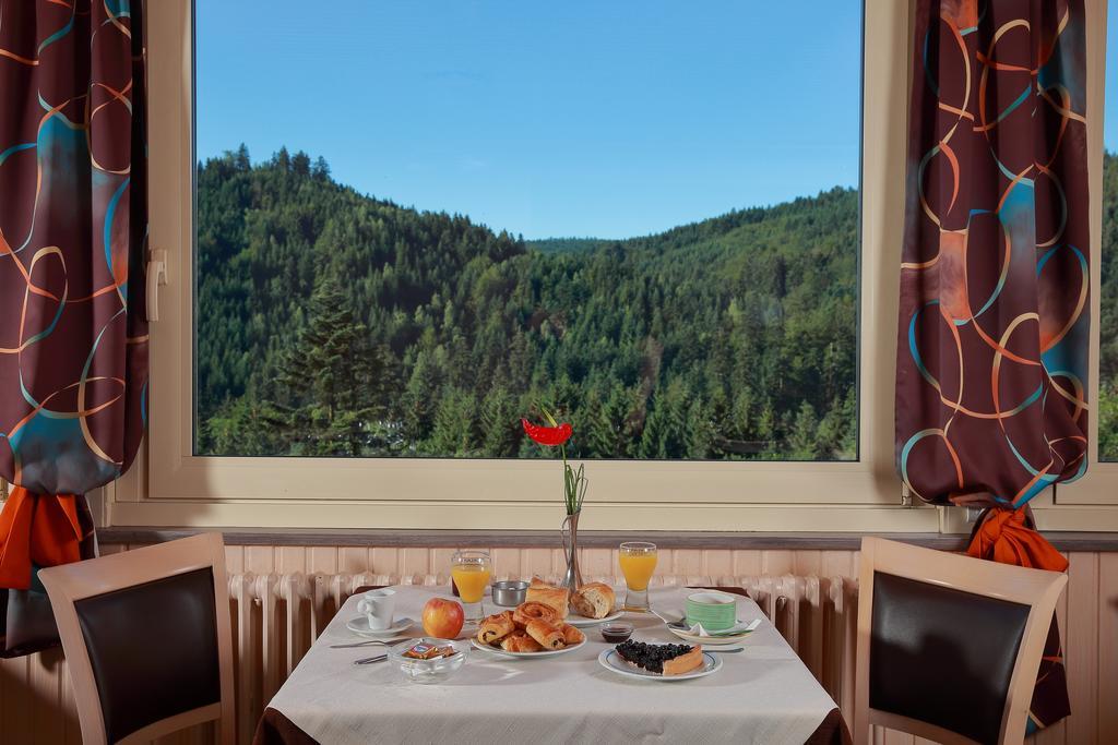 Logis De La Grande Cascade Hotel Le Tholy Buitenkant foto