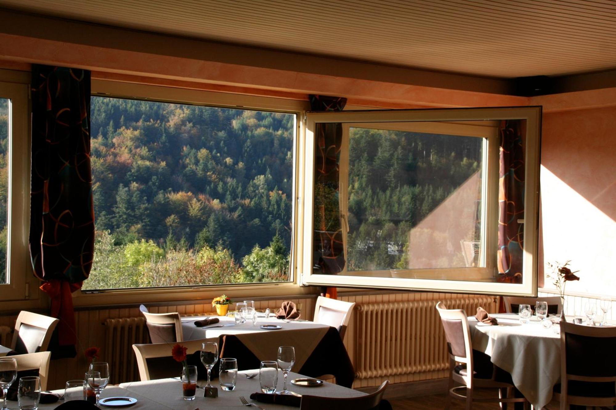 Logis De La Grande Cascade Hotel Le Tholy Buitenkant foto