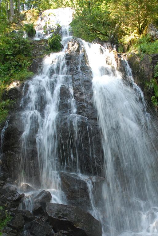 Logis De La Grande Cascade Hotel Le Tholy Buitenkant foto