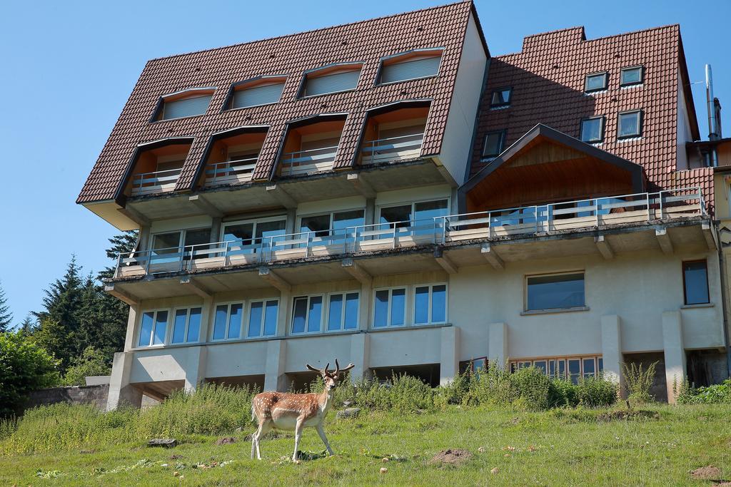 Logis De La Grande Cascade Hotel Le Tholy Buitenkant foto